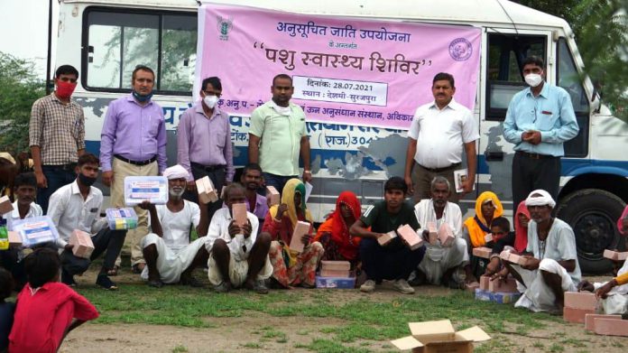 गांव देशमी-सूरजपुरा में आयोजित पशु स्वास्थ्य शिविर
