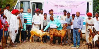 बीड-गनवर गांव में आयोजित पशु स्वास्थ्य शिविर में पशुपालकों के साथ नोडल अधिकारीगण