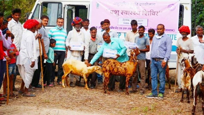 बीड-गनवर गांव में आयोजित पशु स्वास्थ्य शिविर में पशुपालकों के साथ नोडल अधिकारीगण