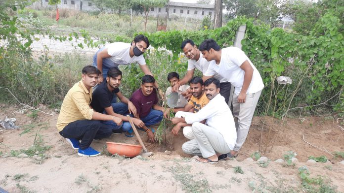 Yuva Morcha workers planted saplings on Himanshu Sharma's birthday