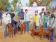 Sirohi breed goats were distributed to the landless and economically backward cattle farmers.