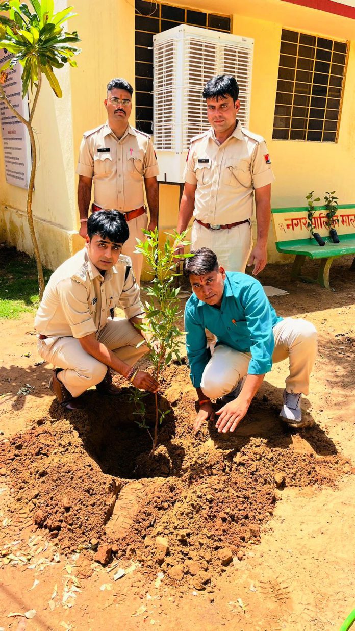 Plantation done in the court premises on Environment Day