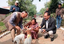 MP Jaskaur Meena visited Avikanagar