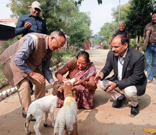 MP Jaskaur Meena visited Avikanagar